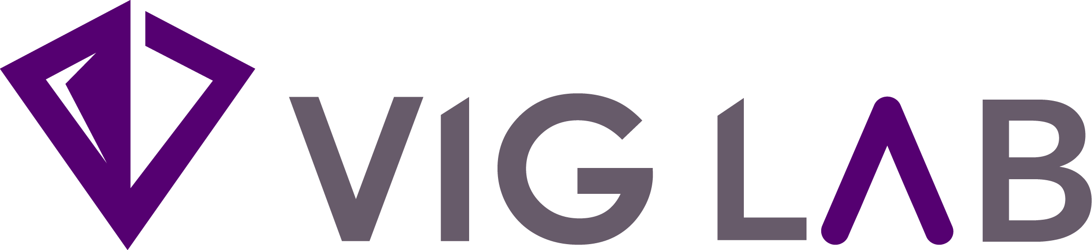 株式会社 VIG LAB